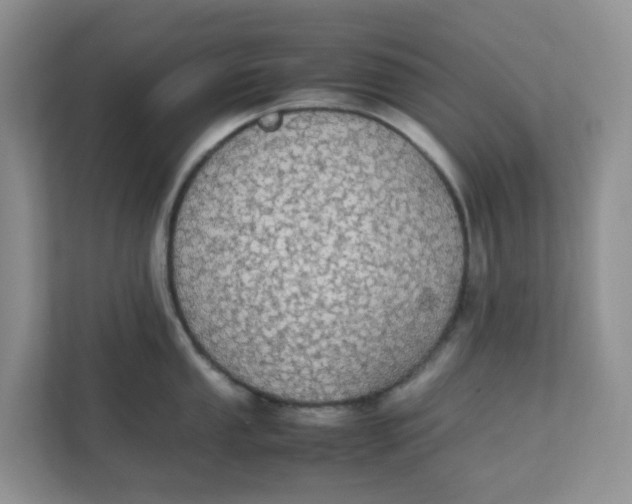 X0000111861053200908131455