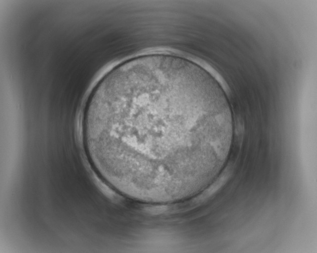 X0000111861054200908131455