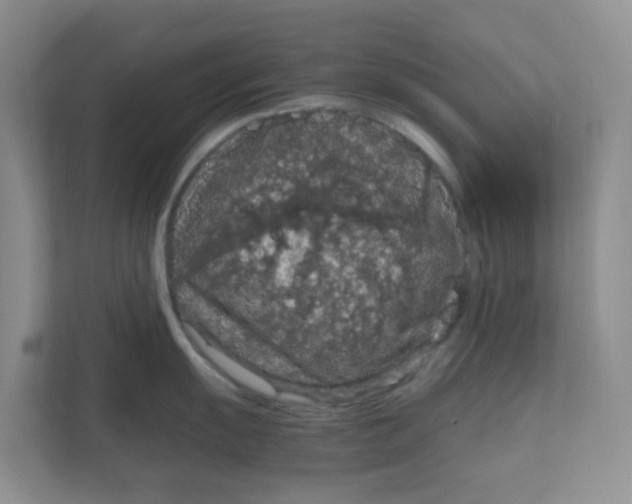 X0000111861055200908131455