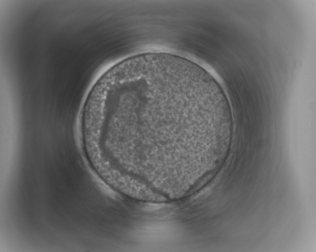 X0000111861056200908131455