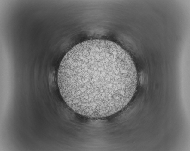 X0000111861059200908131455