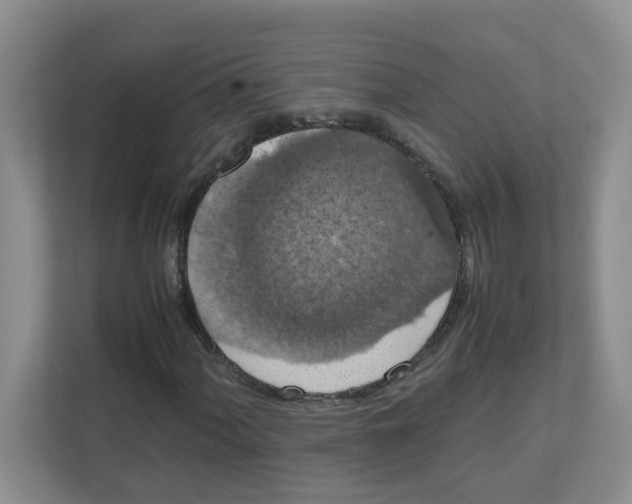 X0000111861060200908131455