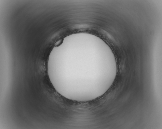 X0000111861062200908131455