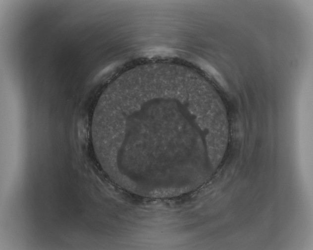 X0000111861063200908131454