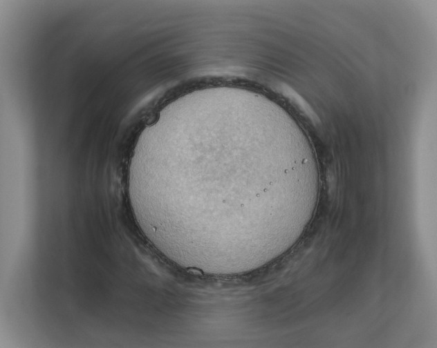 X0000111861064200908131454