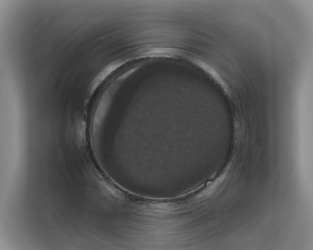 X0000111861066200908131454