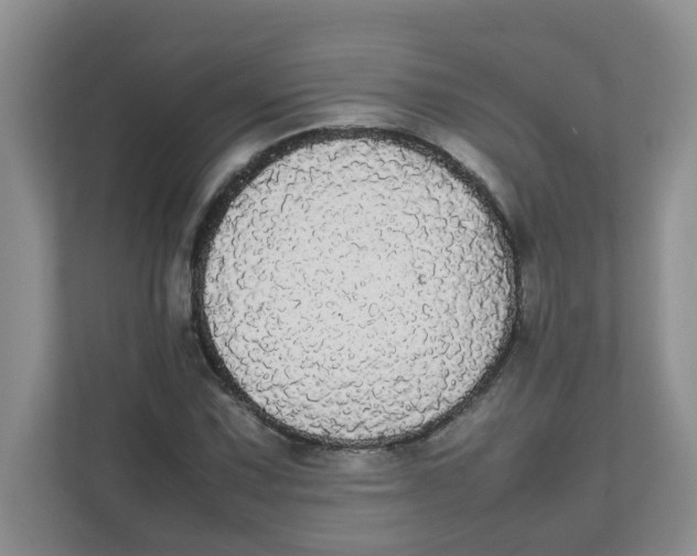 X0000111861067200908131454