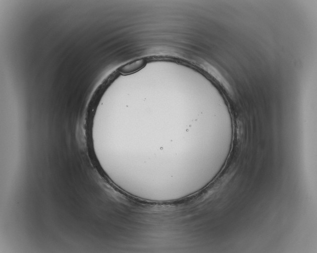 X0000111861068200908131454