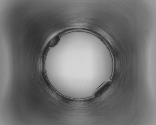 X0000111861069200908131454