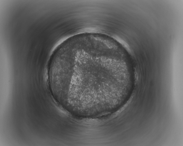 X0000111861070200908131454