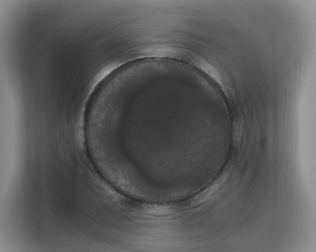 X0000111861071200908131454