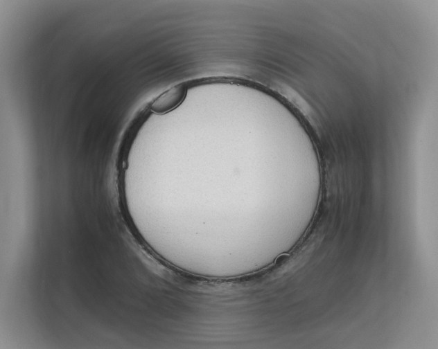 X0000111861072200908131454