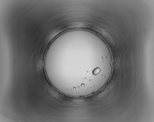 X0000111861073200908131454