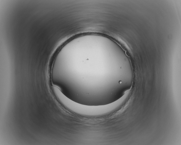 X0000111861077200908131454