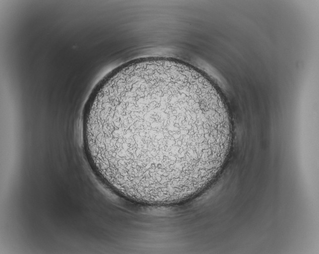 X0000111861079200908131454