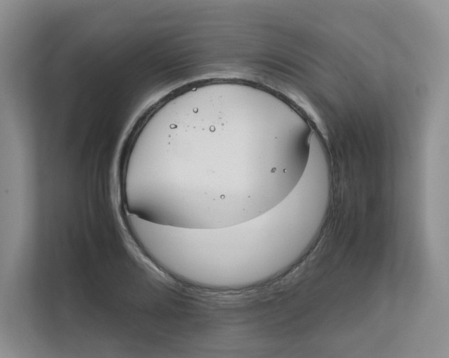 X0000111861080200908131454