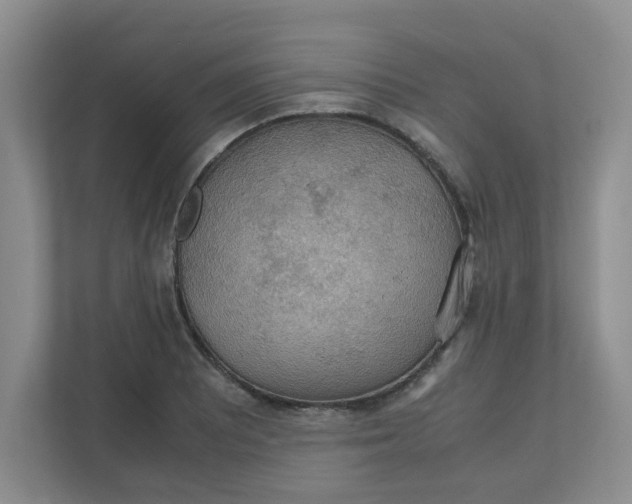 X0000111861081200908131454