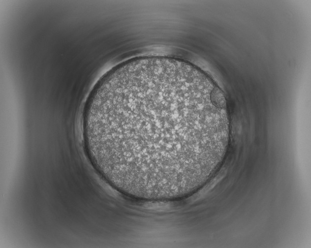 X0000111861083200908131454