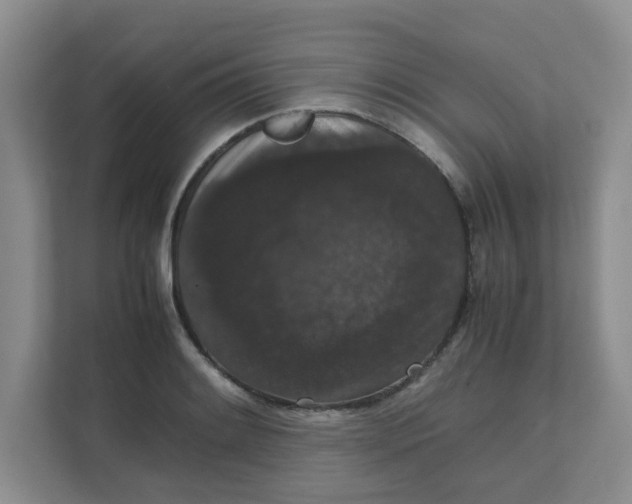 X0000111861084200908131454