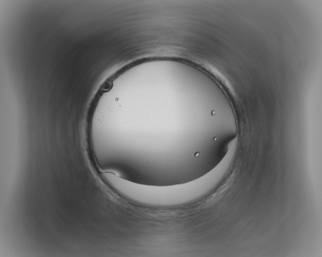 X0000111861085200908131454