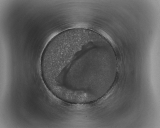 X0000111861087200908131454