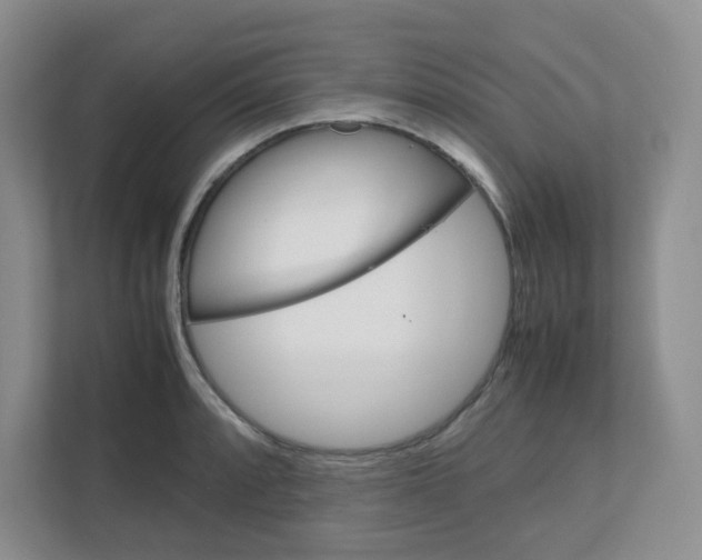 X0000111861088200908131454