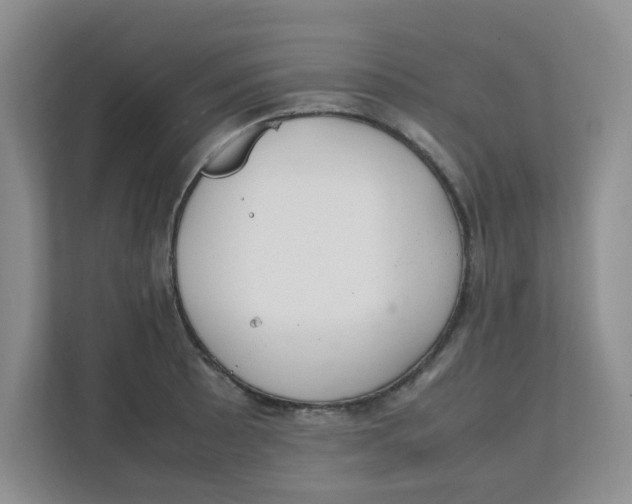 X0000111861089200908131454