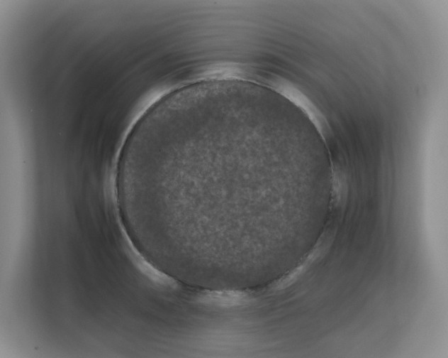 X0000111861090200908131454