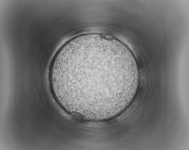 X0000111861091200908131454