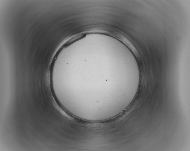 X0000111861092200908131454