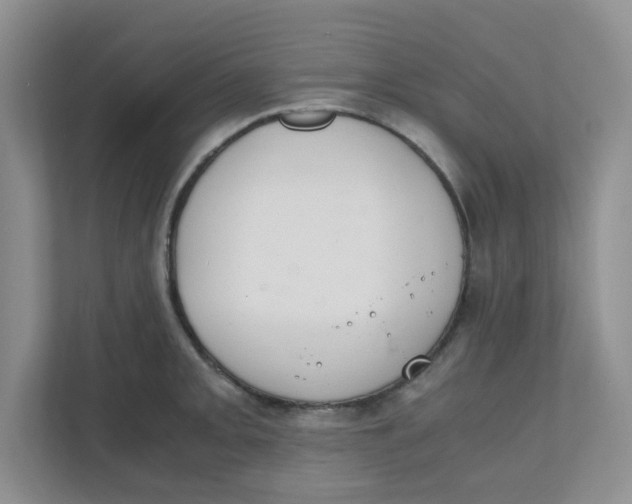 X0000111861093200908131454