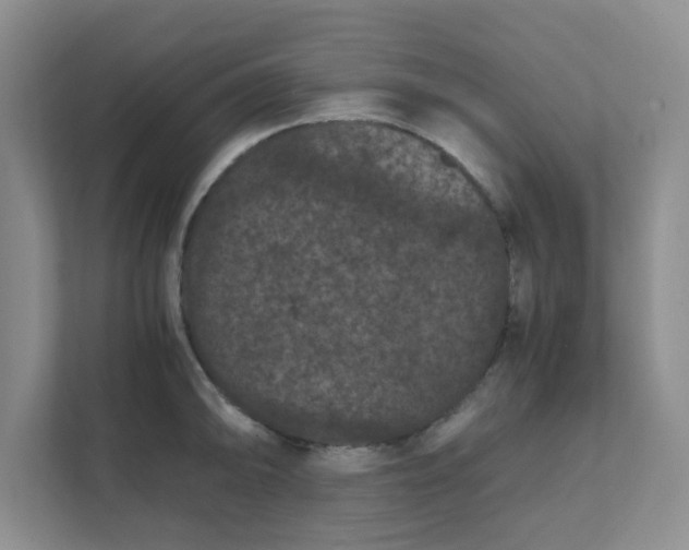 X0000111861094200908131454