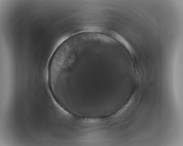 X0000111861095200908131454