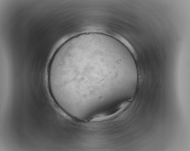 X0000111861096200908131454