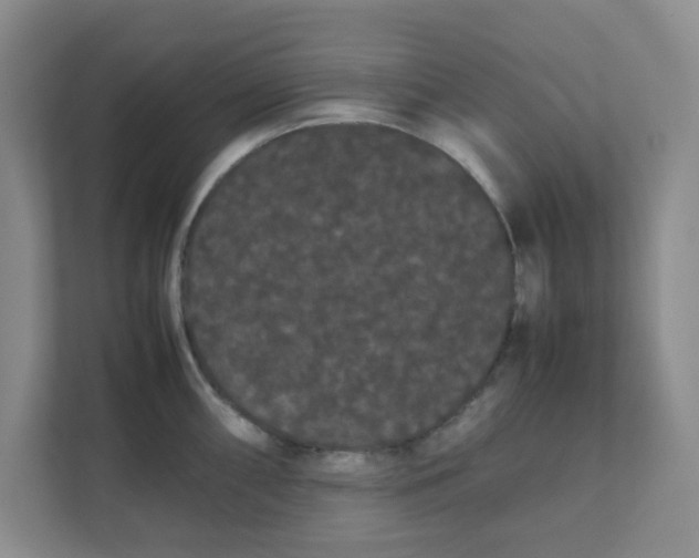 X0000111861098200908131454