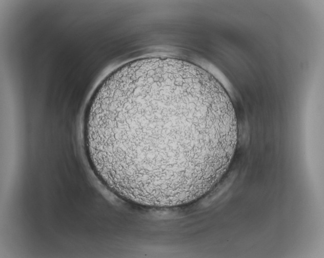 X0000111861099200908131454