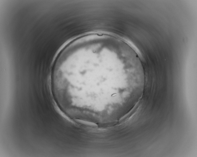 X0000111861100200908131454