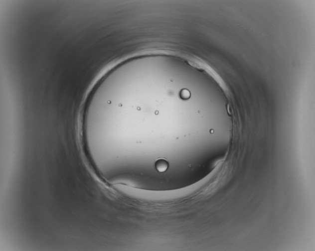 X0000111861101200908131454