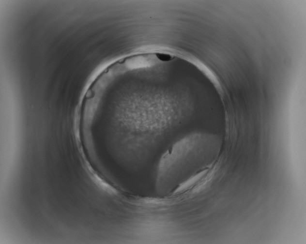 X0000111861102200908131454