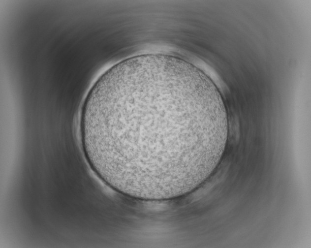 X0000111861103200908131454