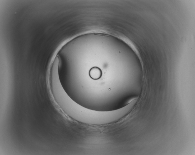 X0000111861104200908131454