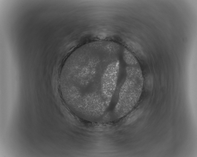 X0000111861105200908131453