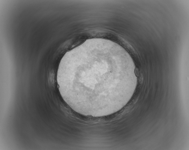 X0000111861108200908131453