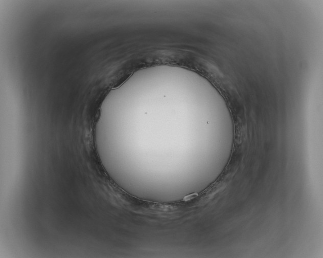 X0000111861109200908131453