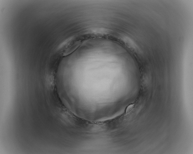 X0000111861110200908131453