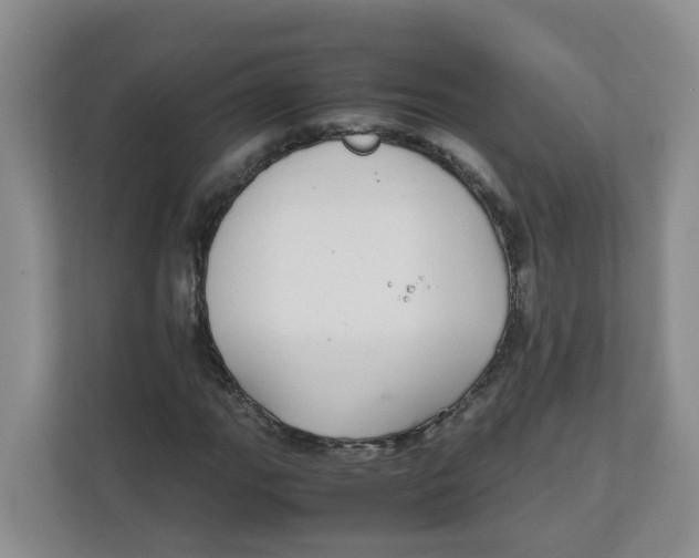 X0000111861111200908131453