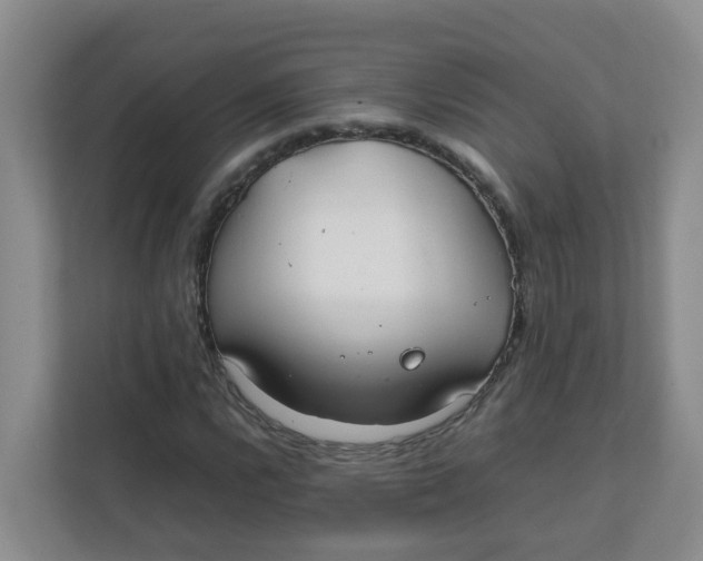 X0000111861112200908131453