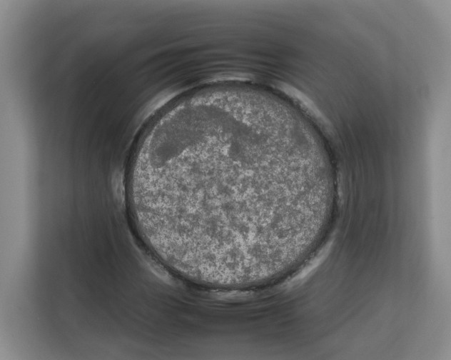 X0000111861113200908131453