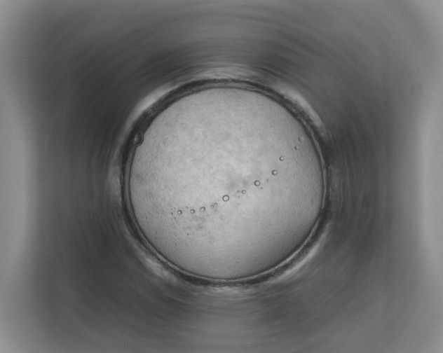 X0000111861114200908131453