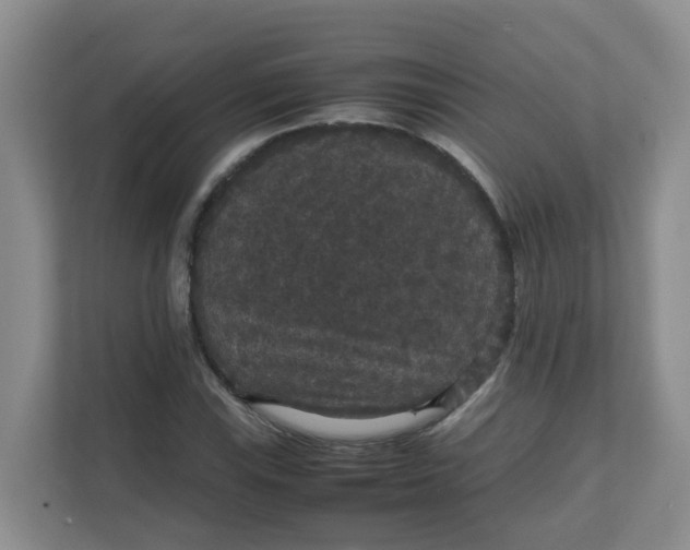 X0000111861115200908131453